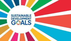Sustainable Development Goals 101
