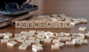 Agenda 21 – A Prequel to The Sustainable Development Goals