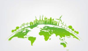 Theories and Principles of Sustainability: Looking Back in Time