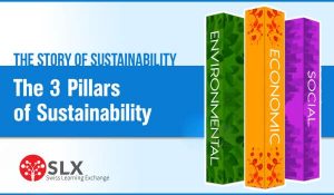 Sustainability: What to Focus On? 