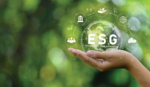 Your guide to understanding the ESG criteria