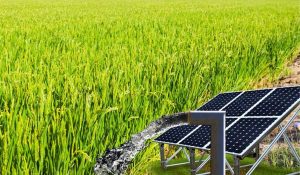 Can solar-powered irrigation systems empower our farmers?