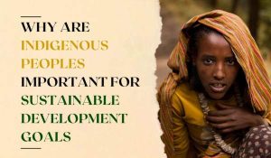 Role of Indigenous Peoples for Sustainable Development Goals